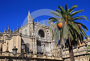 Seville, Andalusia, Spain, The Cathedral and Giralda Place