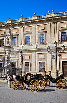 Seville Archivo Indias horse carriage photo