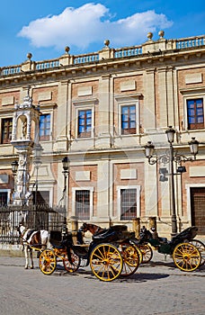 Seville Archivo Indias horse carriage Sevilla Spain photo