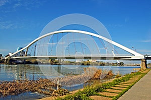 Seville bridge