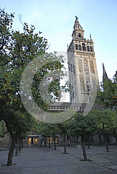 Seville Cathedral