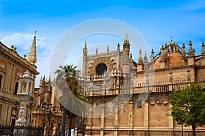 Seville cathedral and Archivo Indias Sevilla photo