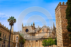 Seville cathedral and Archivo Indias Sevilla photo