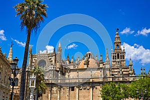 Seville cathedral and Archivo Indias Sevilla photo