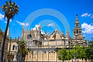 Seville cathedral and Archivo Indias Sevilla photo