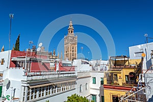 Seville Cathedral and Buildings