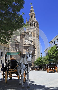 Seville Cathedral and carriages