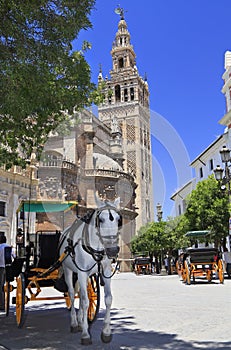 Seville Cathedral and carriages, Spain