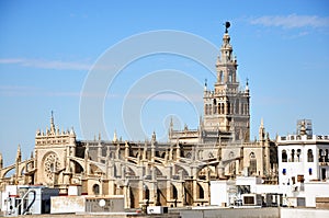 Seville Cathedral with the Giralda photo