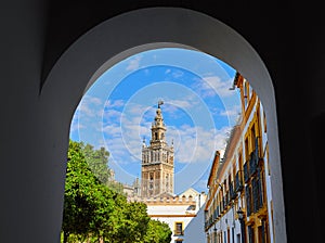 Seville cathedral Giralda tower from Alcazar