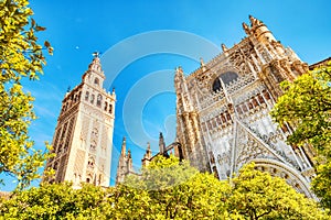 Seville Cathedral and Giralda Tower during Beautiful Sunny Day in Seville photo