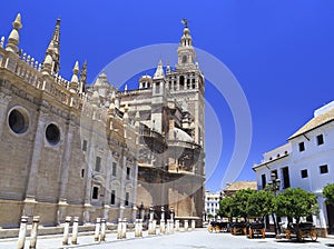 Seville Cathedral, Giralda Tower and carriages photo