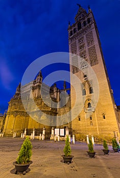 Seville Cathedral with Giralda tower in night. Spain