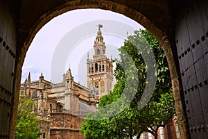 Seville cathedral Giralda tower Sevilla Spain photo