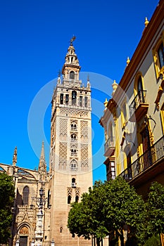 Seville cathedral Giralda tower Sevilla Spain photo