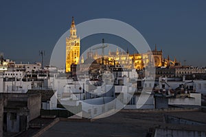 Seville cathedral at sunset