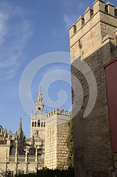 Seville cathedral and wall