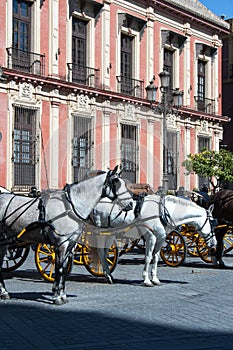 Seville horse and Buggy