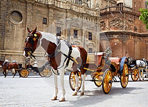 Seville horse carriages in Cathedral of Sevilla