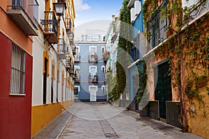 Seville Macarena barrio facades Sevilla Spain photo