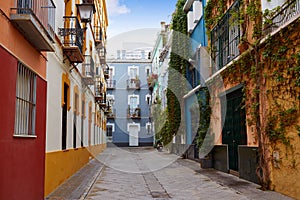 Seville Macarena barrio facades Sevilla Spain