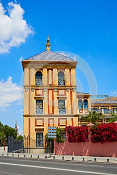 Seville Palacio de San Telmo Andalusia of Spain photo