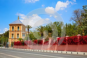 Seville Palacio de San Telmo Andalusia of Spain photo