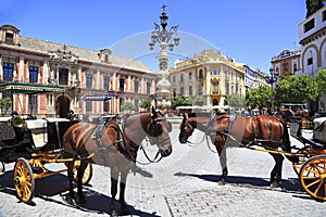 Seville Plaza with carriages and horses on the foreground