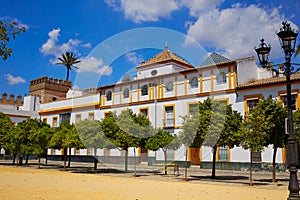 Seville Real Alcazar patio de Banderas Sevilla photo