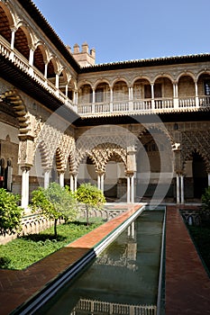 Seville real alcazar pool photo