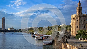 Seville. Spain, Andalusia. tower and river