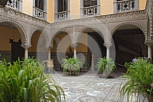 Casa de Lebrija - Typical Andalusian house photo