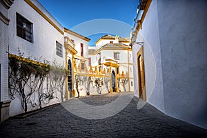 SEVILLE - SPAIN: Plaza de Toros, Real Maestranza