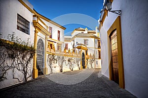 SEVILLE - SPAIN: Plaza de Toros, Real Maestranza