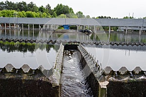 Sewage treatment sedimentation. Drinkable water