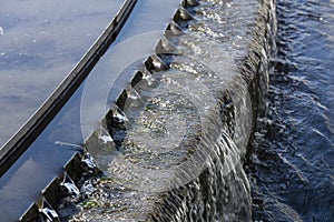 Sewage water treatmen