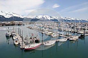 Seward marina