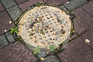 Sewer cast iron manholes on sidewalk. Wet metal is covered with yellow autumn leaves after rain. Time of repair