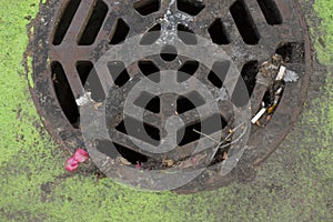 Sewer Cover with Moss and Trash