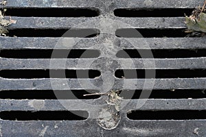 Sewer Drain Grate Cover in Central Park, New York City