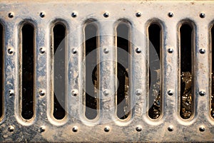 Sewer grate