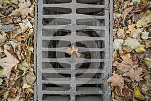 Sewer grate in fall on top