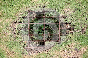 The sewer grate on the lawn - drainage for heavy rain. Top view