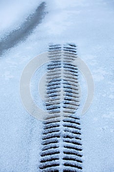 Sewer grate powdered by snow