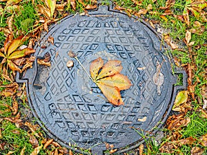 Sewer manhole in the autumn foliage