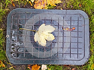 Sewer manhole in the autumn foliage