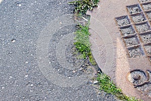 Sewer manhole on the pavement and green grass