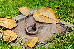 Sewer with a rust and a hook