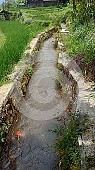 Sewers with clear water in a village in Indonesia