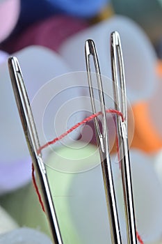 A sewing needle with red thread through the eye of the needle. macro
